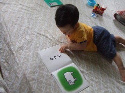 絵本