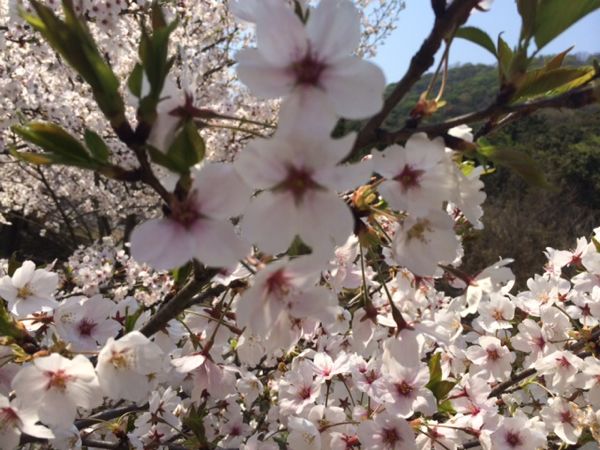 rblog-20140408173218-03.jpg