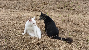20160624_123516.jpg