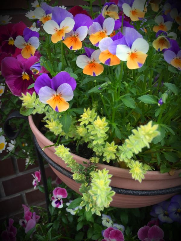 rblog-20160427183111-04.jpg
