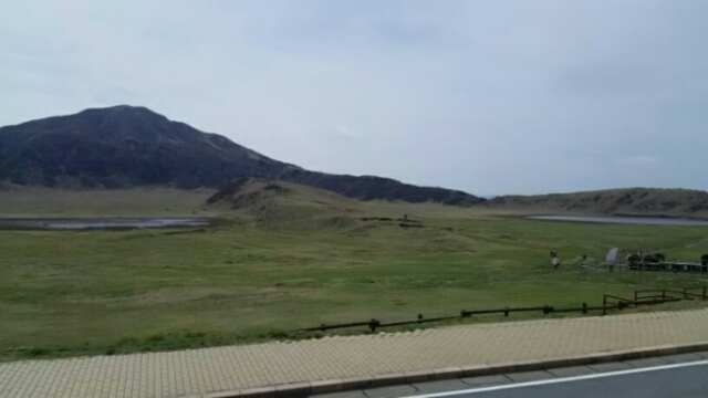 20160412_110631.jpg