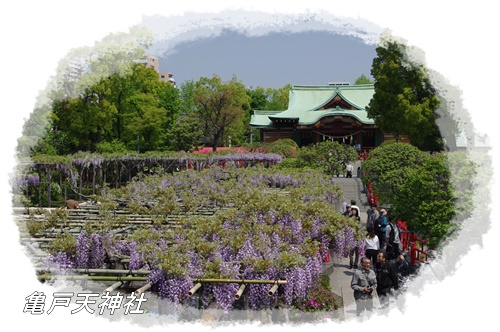 亀戸天神社