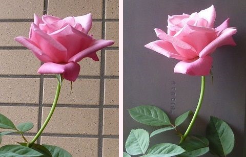 背景画像1.jpg