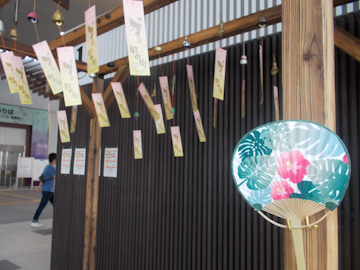 DSCN5771.jpg
