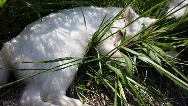 20160426_123244.jpg