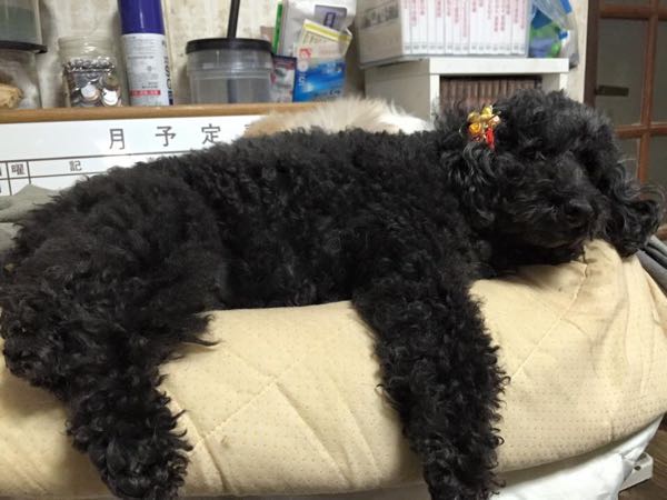 rblog-20150120224700-01.jpg