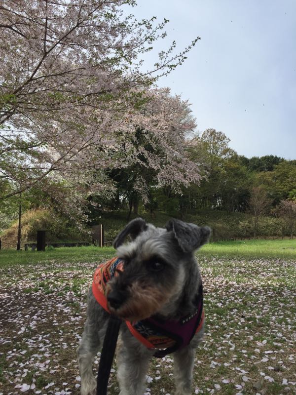rblog-20160410014113-01.jpg