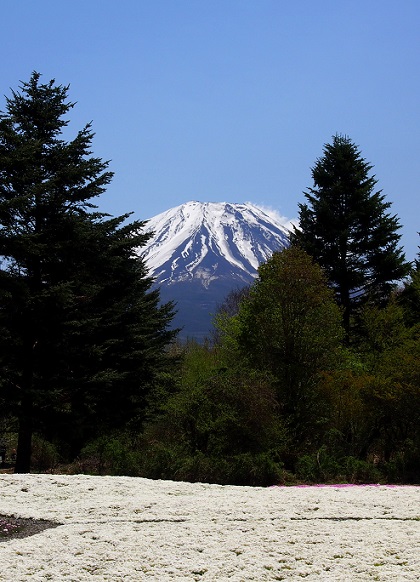 4.雪原.JPG