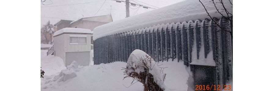 １２／２３予報通り吹雪いてきた.jpg