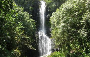 Maui Hana
