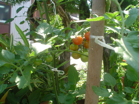 burogu_12_07_10_02.jpg