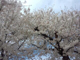 rblog-20140407222828-04.jpg