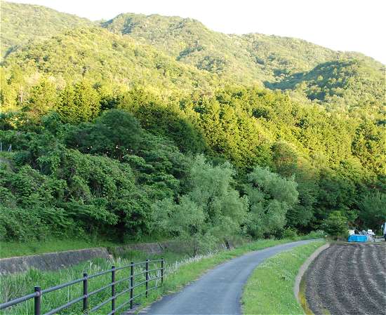 西脇ホタル観賞スポット