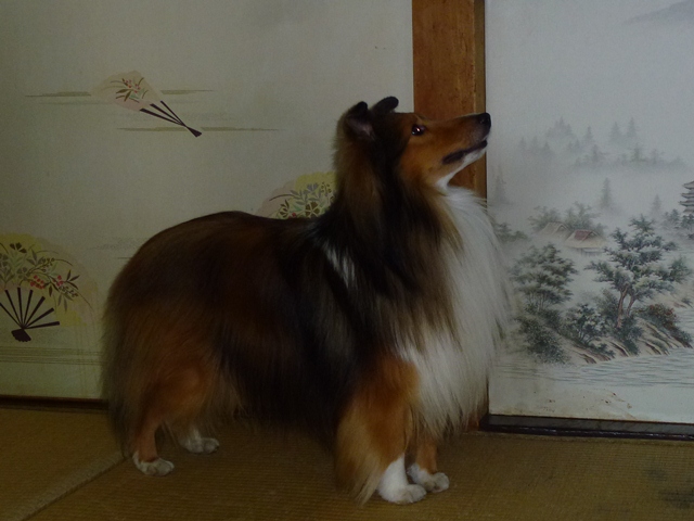 P1020162 - コピー.JPG