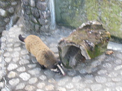 conv0131.JPG