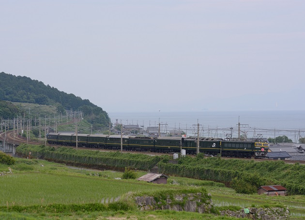 3 EF81-44 9022レ D7100 1.jpg