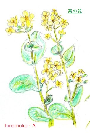 img005s.jpg