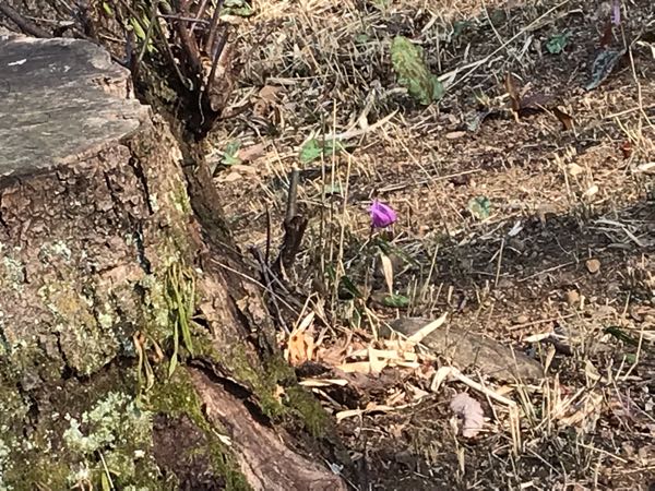 rblog-20190320171145-01.jpg