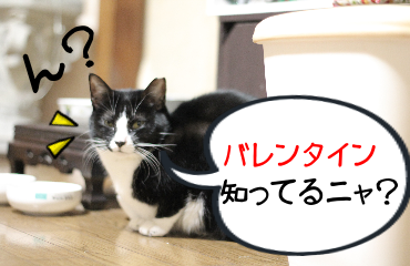 IMG_0218.png