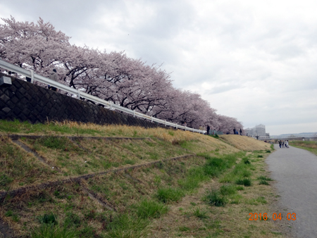 元横山公園.jpg