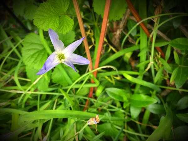 rblog-20160427183111-07.jpg