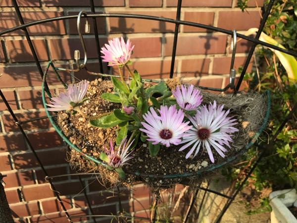 rblog-20170330200218-05.jpg