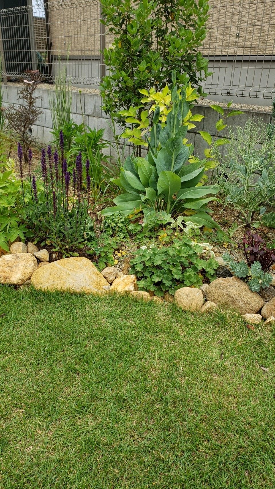 ガーデニング Fullmintのちょっとマニアックなガーデニングブログ 楽天ブログ