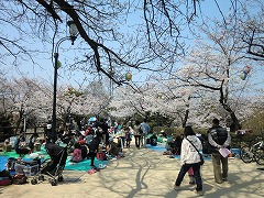s-20120408 (2).jpg
