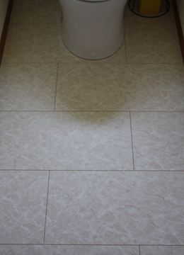 20120909_6_R.JPG