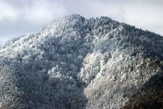 高越山2013/12/29-4