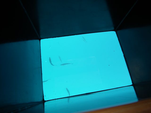 DSCF3883.JPG