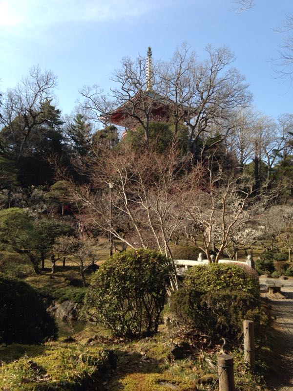 rblog-20160229165152-02.jpg