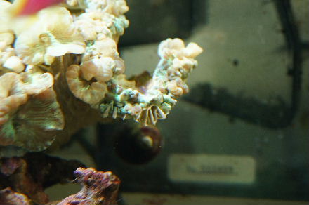 2015_0118LED0009.JPG