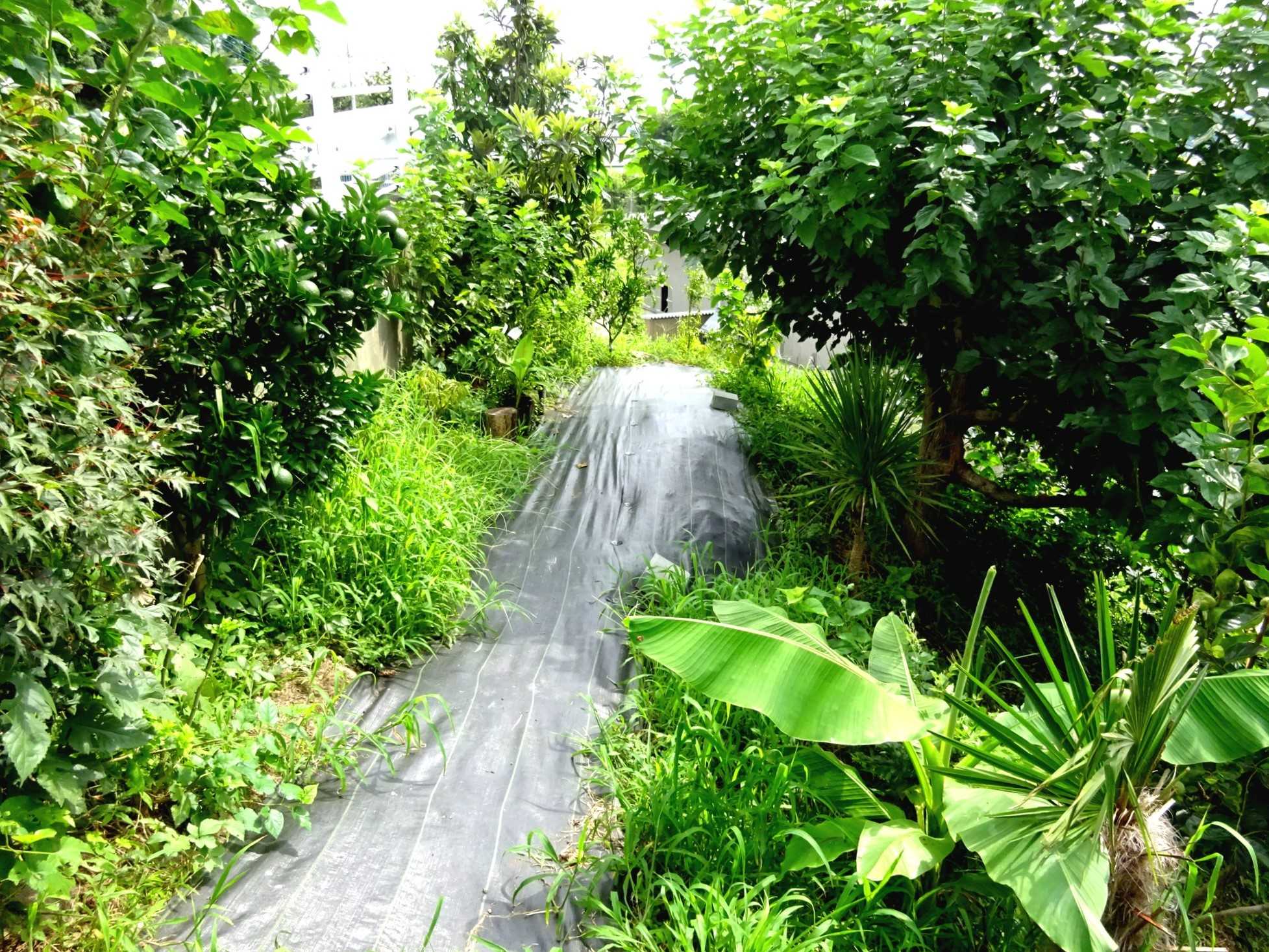 21 気ままに植木と観葉植物 山と空が友だち ドローンで空撮 楽天ブログ