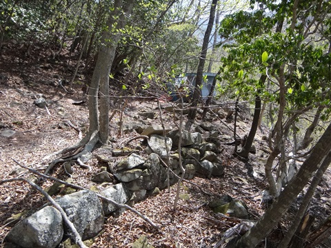 DSC05159.JPG