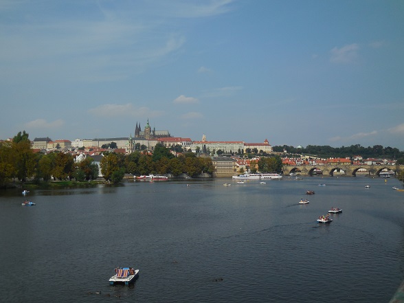 DSCN1713.jpg