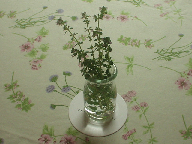 001.JPG