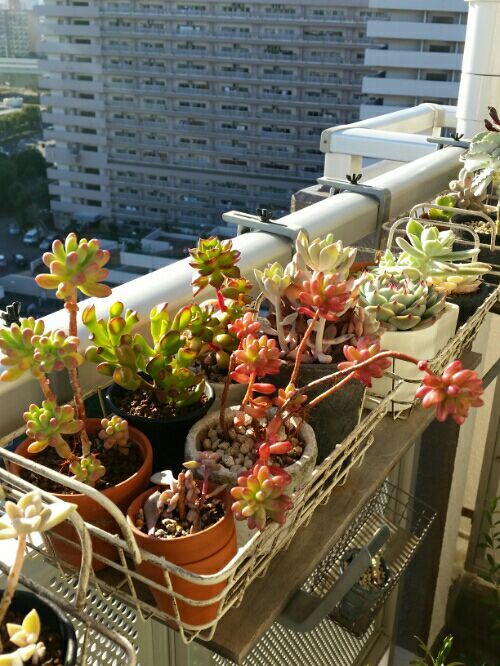 rblog-20170101153602-03.jpg