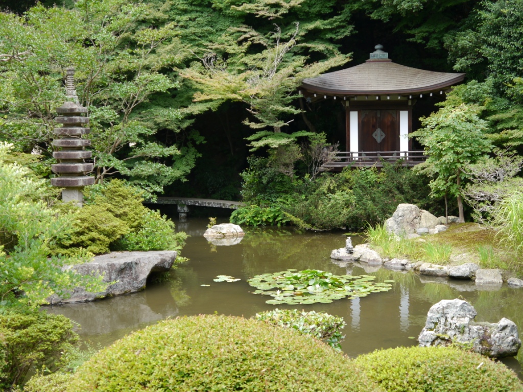 P1080274.JPG