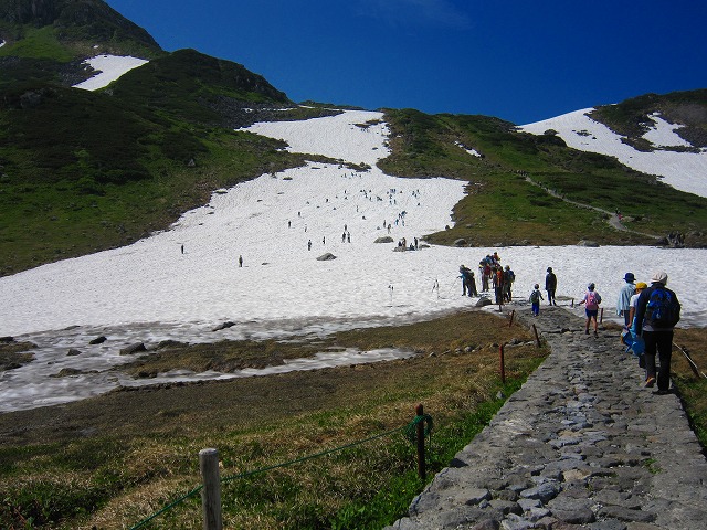 4264