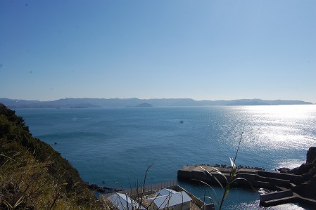 DSC_1212.jpg