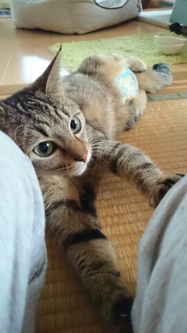 rblog-20141126170636-02.jpg
