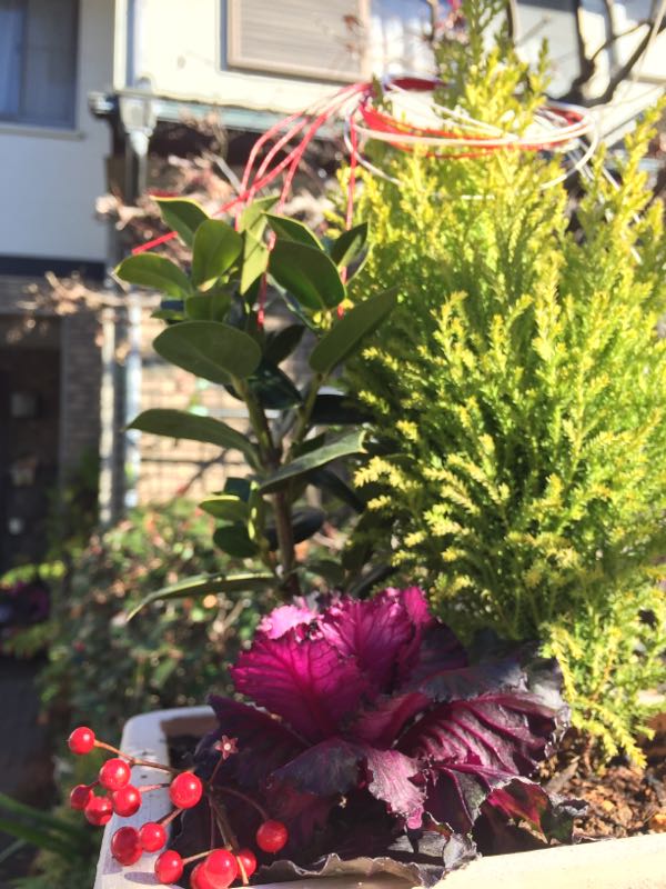 rblog-20151229111719-00.jpg