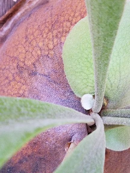 rblog-20180408121938-03.jpg