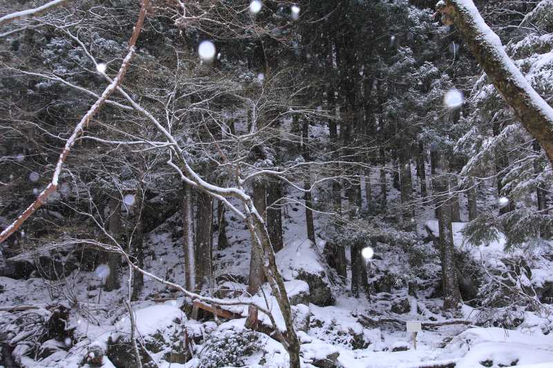 川上村_004.jpg