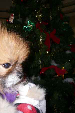 ２０１３年１２月２日記念撮影