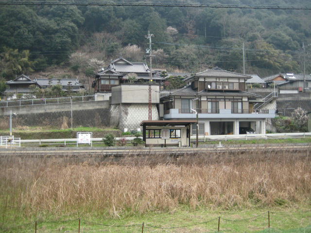 IMG_7812.JPG
