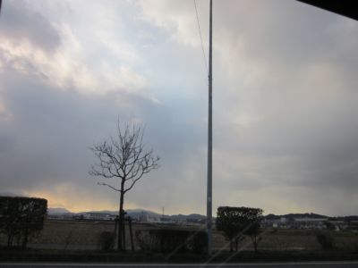 IMG_7880.JPG