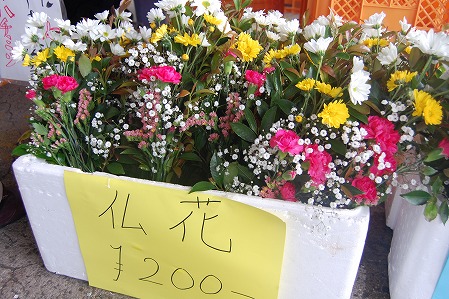 s-DSC_0352.jpg
