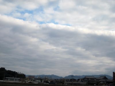 IMG_8684.JPG